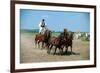 Horse show in Bugac, Bacs-Kiskun, Hungary-null-Framed Premium Giclee Print