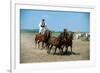 Horse show in Bugac, Bacs-Kiskun, Hungary-null-Framed Premium Giclee Print