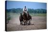 Horse show in Bugac, Bacs-Kiskun, Hungary-null-Stretched Canvas