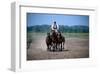 Horse show in Bugac, Bacs-Kiskun, Hungary-null-Framed Art Print