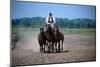 Horse show in Bugac, Bacs-Kiskun, Hungary-null-Mounted Art Print