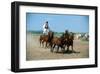 Horse show in Bugac, Bacs-Kiskun, Hungary-null-Framed Art Print