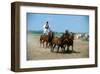 Horse show in Bugac, Bacs-Kiskun, Hungary-null-Framed Art Print