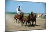 Horse show in Bugac, Bacs-Kiskun, Hungary-null-Mounted Art Print