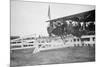 Horse Show In Washington Dc; Horses Jump Fence-null-Mounted Art Print