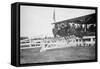 Horse Show In Washington Dc; Horses Jump Fence-null-Framed Stretched Canvas