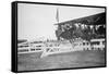 Horse Show In Washington Dc; Horses Jump Fence-null-Framed Stretched Canvas