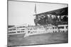 Horse Show In Washington Dc; Horses Jump Fence-null-Mounted Art Print