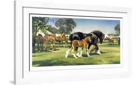 Horse Show-Frank Wootton-Framed Limited Edition