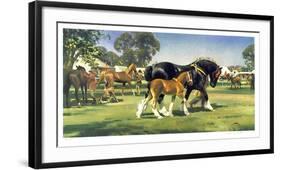 Horse Show-Frank Wootton-Framed Limited Edition