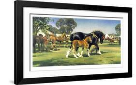 Horse Show-Frank Wootton-Framed Limited Edition