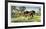 Horse Show-Frank Wootton-Framed Limited Edition