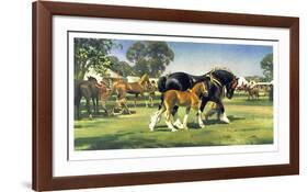 Horse Show-Frank Wootton-Framed Limited Edition