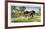 Horse Show-Frank Wootton-Framed Limited Edition