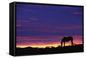 Horse Silhouette at Sunset-Paul Souders-Framed Stretched Canvas