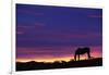 Horse Silhouette at Sunset-Paul Souders-Framed Photographic Print