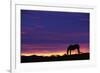 Horse Silhouette at Sunset-Paul Souders-Framed Photographic Print