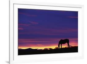 Horse Silhouette at Sunset-Paul Souders-Framed Photographic Print