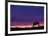 Horse Silhouette at Sunset-Paul Souders-Framed Photographic Print
