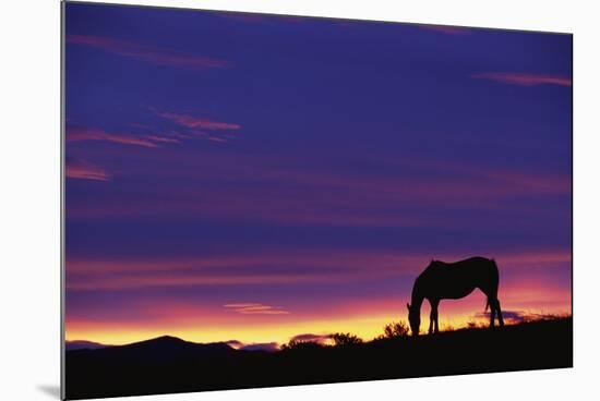 Horse Silhouette at Sunset-Paul Souders-Mounted Photographic Print