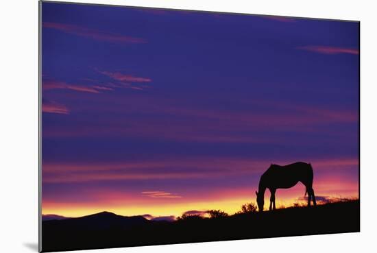 Horse Silhouette at Sunset-Paul Souders-Mounted Photographic Print