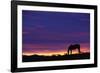 Horse Silhouette at Sunset-Paul Souders-Framed Photographic Print