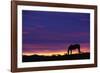 Horse Silhouette at Sunset-Paul Souders-Framed Photographic Print