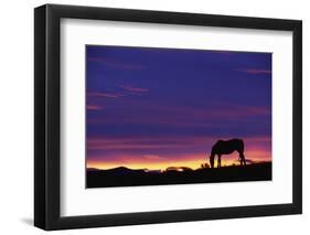 Horse Silhouette at Sunset-Paul Souders-Framed Photographic Print