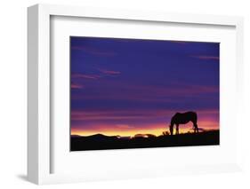 Horse Silhouette at Sunset-Paul Souders-Framed Photographic Print