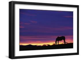 Horse Silhouette at Sunset-Paul Souders-Framed Photographic Print