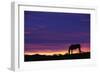 Horse Silhouette at Sunset-Paul Souders-Framed Photographic Print