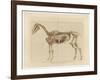 Horse Skeleton-null-Framed Art Print