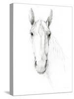 Horse Sketch-Avery Tillmon-Stretched Canvas