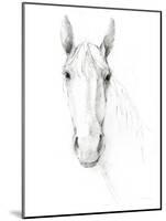 Horse Sketch-Avery Tillmon-Mounted Art Print