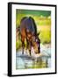 Horse Splashing in the Water at Sunset.-Alexia Khruscheva-Framed Photographic Print