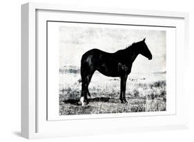 Horse Stance-Milli Villa-Framed Art Print