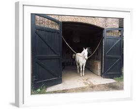 Horse Standing in a Stable, Middleton Place, Charleston, Charleston County, South Carolina, USA-null-Framed Photographic Print