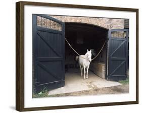 Horse Standing in a Stable, Middleton Place, Charleston, Charleston County, South Carolina, USA-null-Framed Photographic Print