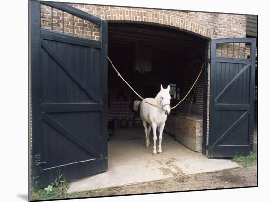 Horse Standing in a Stable, Middleton Place, Charleston, Charleston County, South Carolina, USA-null-Mounted Photographic Print
