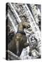 Horse Statue on San Marco, Venice, Italy-Terry Eggers-Stretched Canvas
