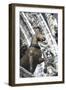 Horse Statue on San Marco, Venice, Italy-Terry Eggers-Framed Photographic Print