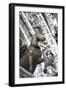 Horse Statue on San Marco, Venice, Italy-Terry Eggers-Framed Photographic Print