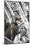 Horse Statue on San Marco, Venice, Italy-Terry Eggers-Mounted Photographic Print