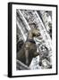 Horse Statue on San Marco, Venice, Italy-Terry Eggers-Framed Photographic Print