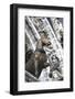 Horse Statue on San Marco, Venice, Italy-Terry Eggers-Framed Photographic Print