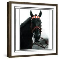 Horse Still 1-Schribler & Sons-Framed Giclee Print