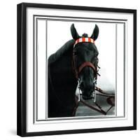 Horse Still 1-Schribler & Sons-Framed Giclee Print