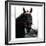 Horse Still 1-Schribler & Sons-Framed Giclee Print