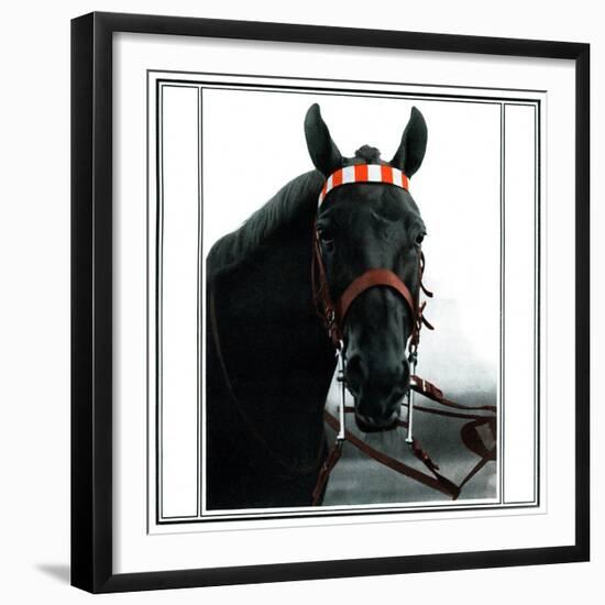 Horse Still 1-Schribler & Sons-Framed Giclee Print