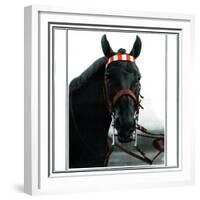 Horse Still 1-Schribler & Sons-Framed Giclee Print